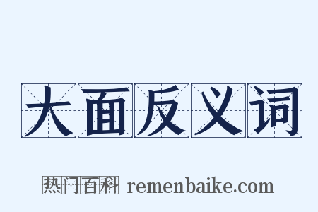 大面反义词是什么意思的图片